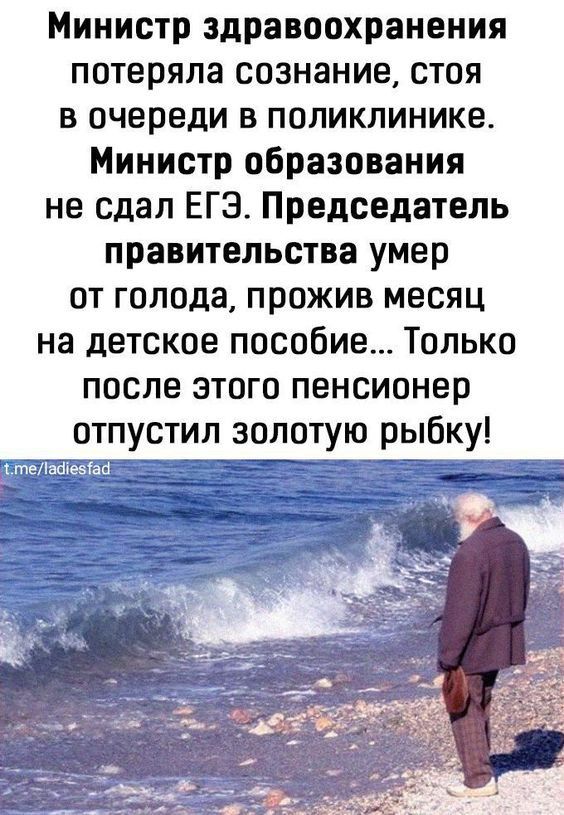 Министр здравоохранения потеряла сознание, стоя в очереди в поликлинике. Министр образования не сдал ЕГЭ. Председатель правительства умер от голода, прожив месяц на детское пособие... Только после этого пенсионер отпустил золотую рыбку!