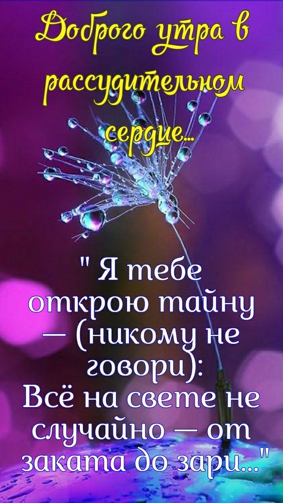 Доброе утро в рассудительном сердце... 