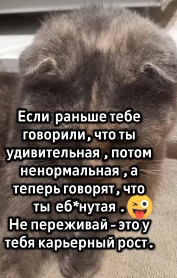 Если раньше тебе говорили, что ты удивительная, потом ненормальная, а теперь говорят, что ты еб*нутая. Не переживай — это твоя карьерный рост.