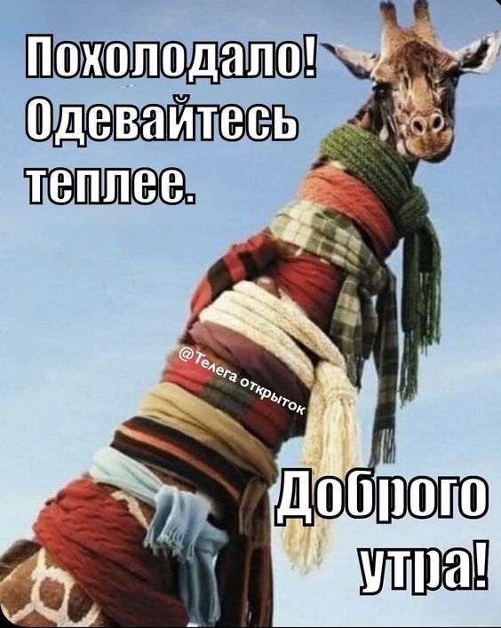 Похолодало! Одевайтесь теплее. Доброго утра!