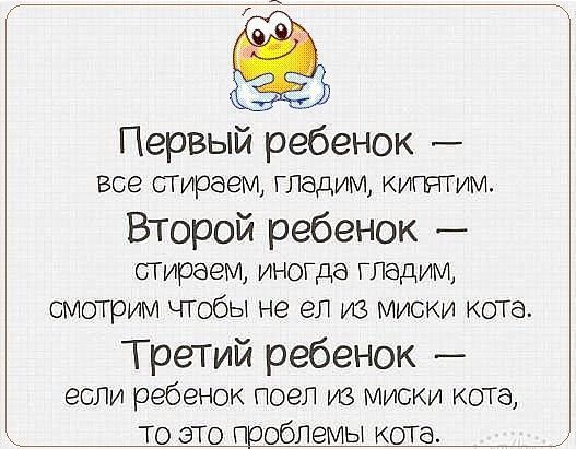 Первый ребенок — все стираем, гладим, кипятим. Второй ребенок — стираем, иногда гладим, смотрим чтобы не ел из миски кота. Третий ребенок — если ребенок поел из миски кота, то это проблемы кота.