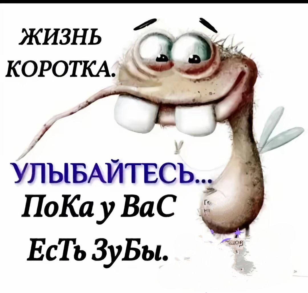 жизнь коротка. Улыбайтесь... Пока у Вас Есть Зубы.