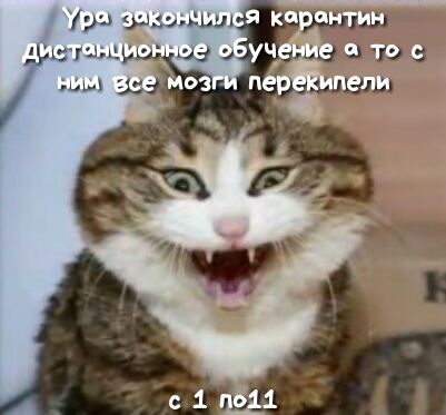 глшцу БЫЛ