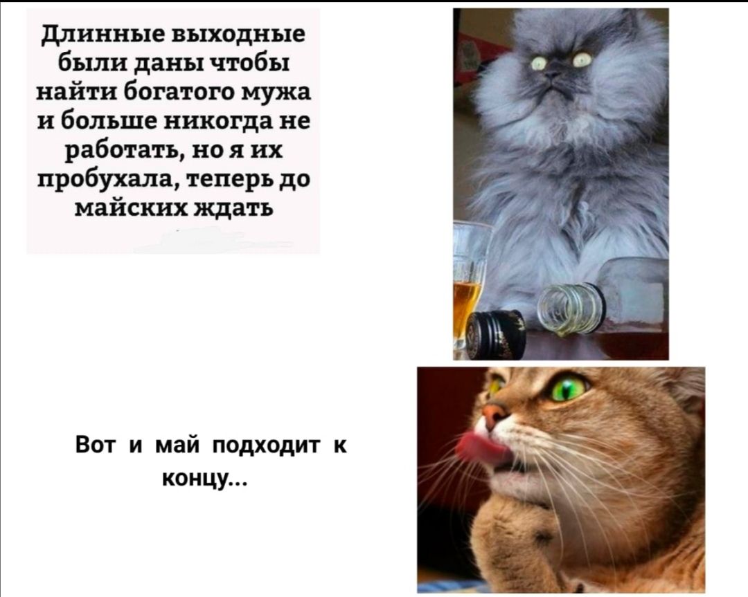 длинные выходные были даны чтобы найти богатого мужа и больше никогда не работать но я их пробухала теперь до майских ждать Вот и май подходит к концу