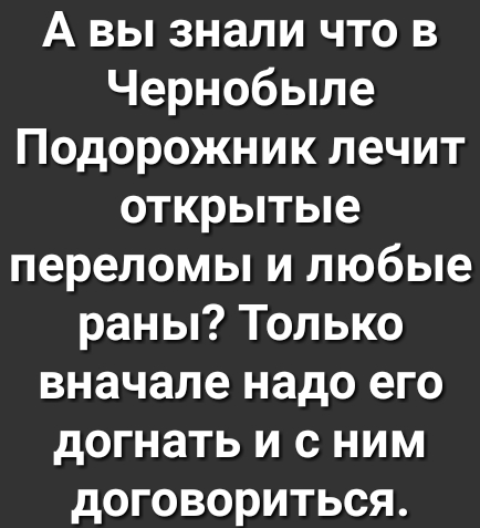 А вы знали что в Чернобыле Подорожник лечит открытые переломы и любые раны Только вначале надо его догнать и с ним договориться