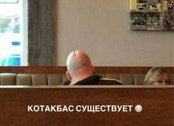 КОТАКБАС СУЩЕСТВУЕТ