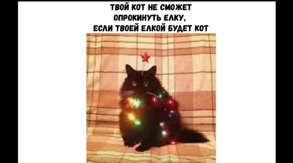 твой кот не сможет ВПРШЪИИУТЬ БАКУ ЕСЛИ ТПЕИ ЕМШЙ БУДЕТ МП