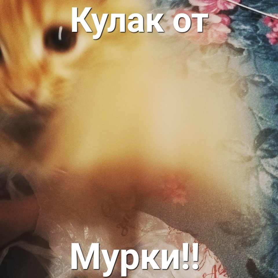 чшЁЁг