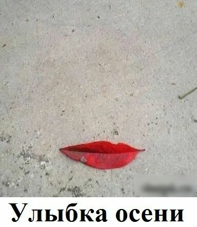 Ё __ Улыбка осени