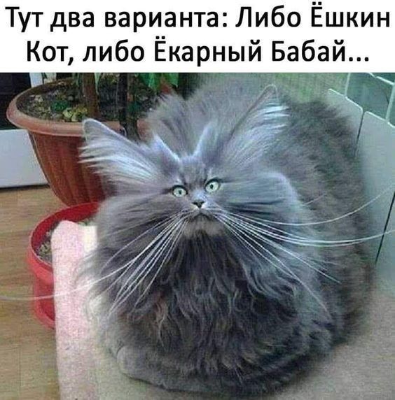 Тут два варианта Либо Ёшкин Кот либо Екарный Бабай