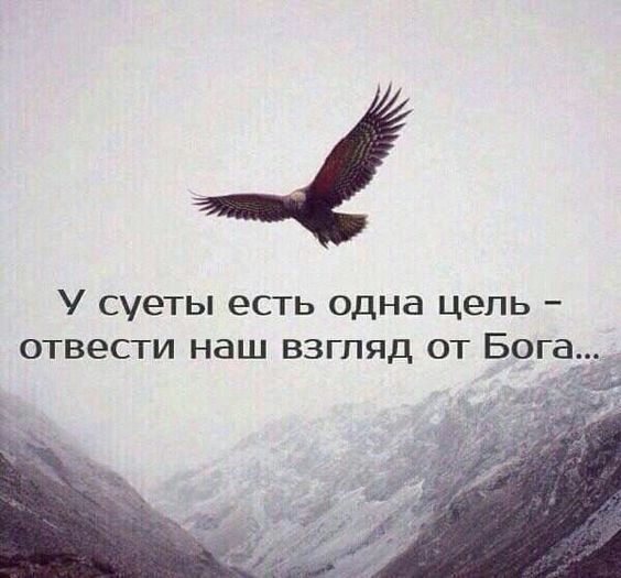 суеты есть одна цель отвести наш взгляд от Бога