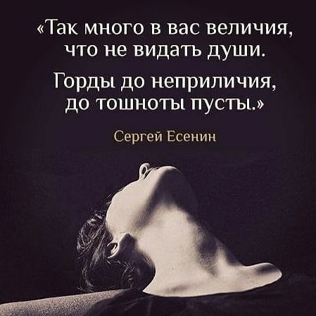 ТЭК МНОГО В ВЭС ВЕЛИЧИЯ ЧТО не ВИДЭТЬ ДУШИ Горды до неприличия до тошноты пусты Сергей Есенин