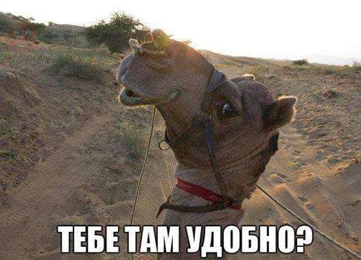 3 ТЕБЕ тдм чдіпінііёі