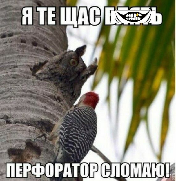 Н ТЕ ЩАС пв_нфпгдтпг _