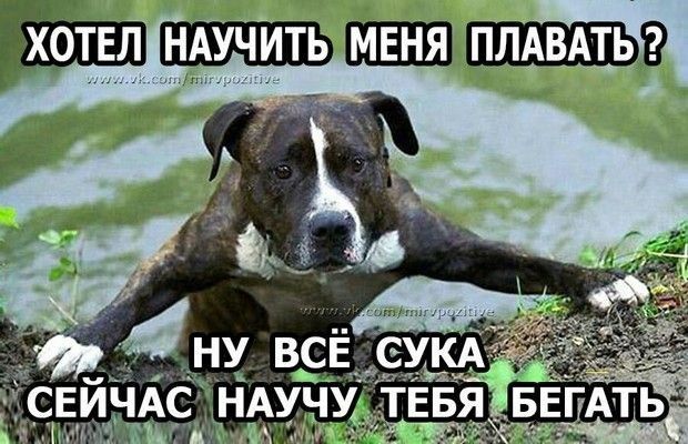НАЧУИТЬ плдвдтьіг ж