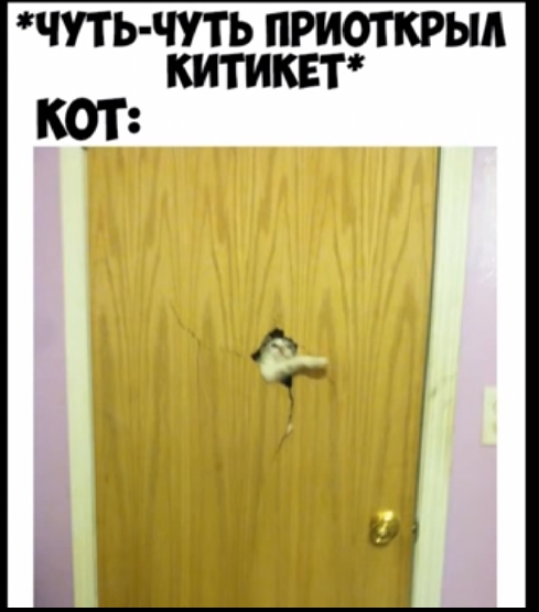 ЧУТЬ ЧУТЬ ПРИОТКРЬШ КИТИКЕТ