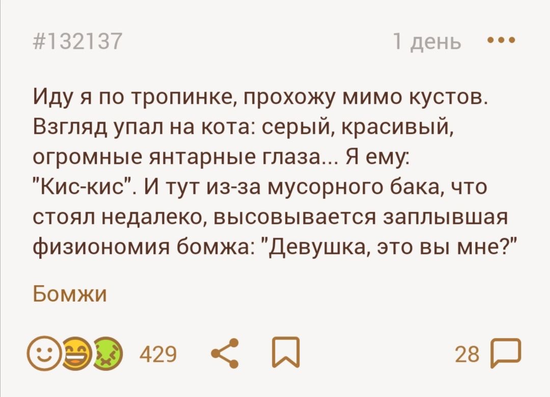 13213 1 день Иду я по тропинке прохожу мимо кустов Взгляд упал на кота серый красивый огромные янтарные глаза Я ему Кис кис И тут из за мусорного бака что стоялнедалековысовываетсязаплывцюя физиономия бомжа Девушка это вы мне Бомжи и 28 в