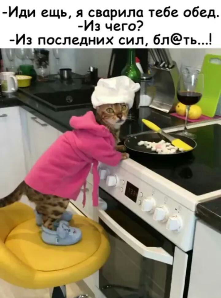 Иди ещь я сварила тебе обед Из чего Из последних сил блть
