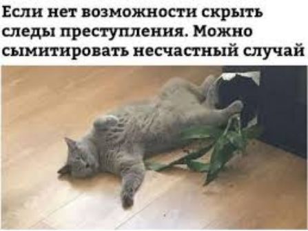 Если нет возможности скрыть следы преступления Можно сымитировать несчастный случай