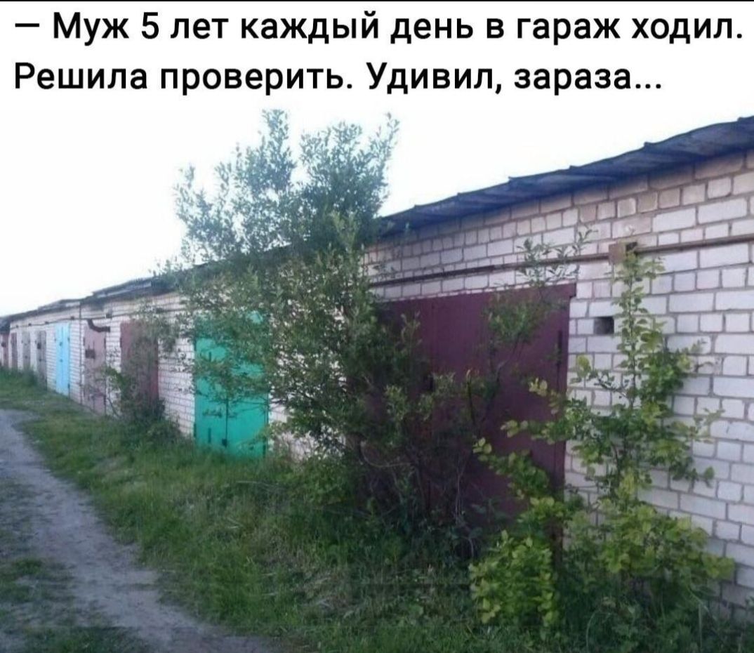 Муж 5 лет каждый день в гараж ходил Решила проверить Удивил зараза