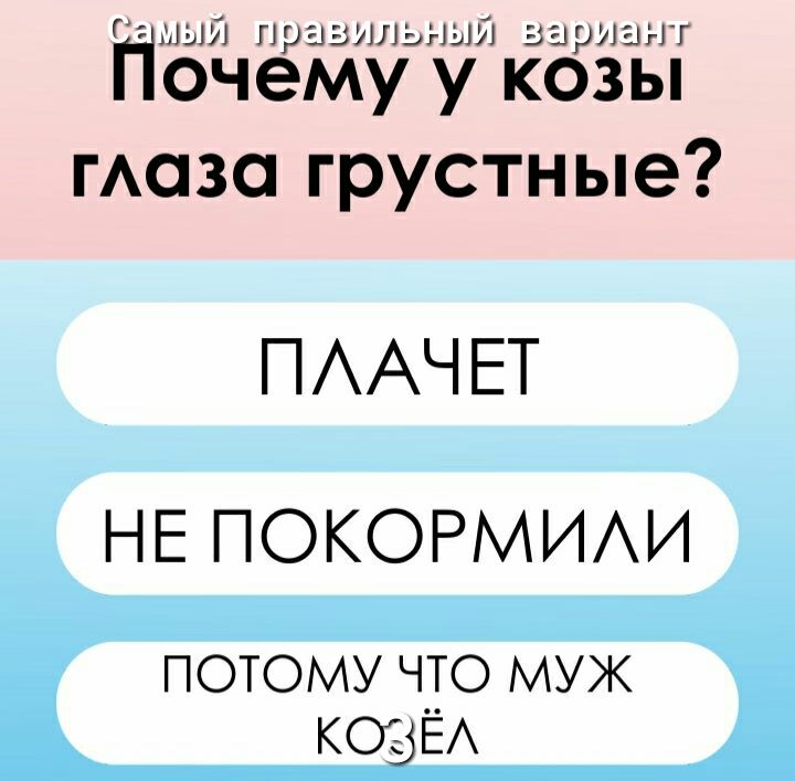 пм ПрЫЗИЛэ 1 АИ зариа гГГ очему у козы гАаза грустные ПААЧ ЕТ НЕ ПОКОРМИАИ потому что муж ксвЁх