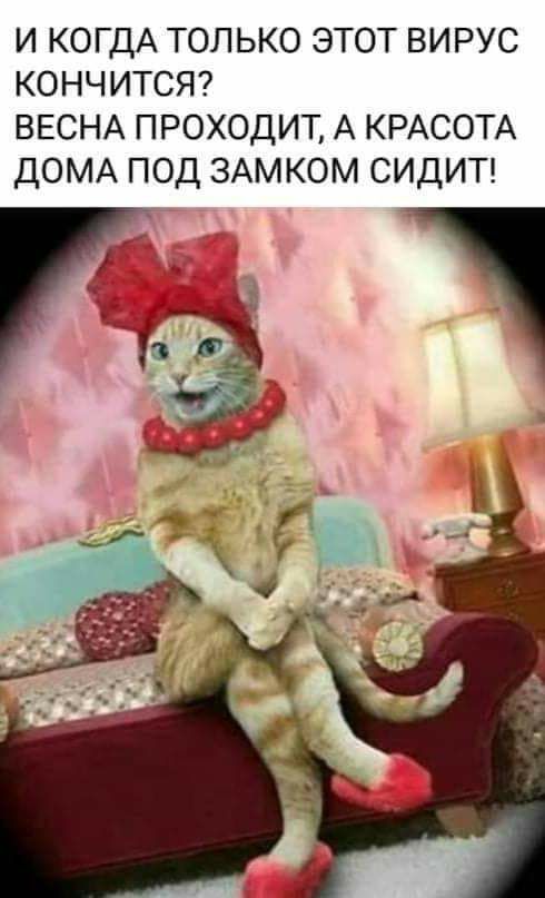 И КОГДА ТОЛЬКО ЭТОТ ВИРУС КОНЧИТСЯ ВЕСНА ПРОХОДИТ А КРАСОТА ДОМА ПОД ЗАМКОМ СИДИТ