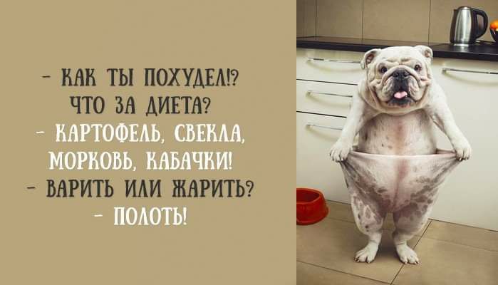 МН ТЫ ПОХУДЕАН ЧТО ЗВ АИЕТА ВНРТОФЕАЬ СВЁШШ МОРБОЫ МБНШИ МРИТЬ ИАИ ШНРИТЬ ПОАОТЬ