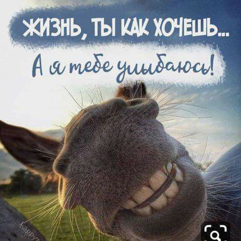 Т А НЕ ТЕСТ