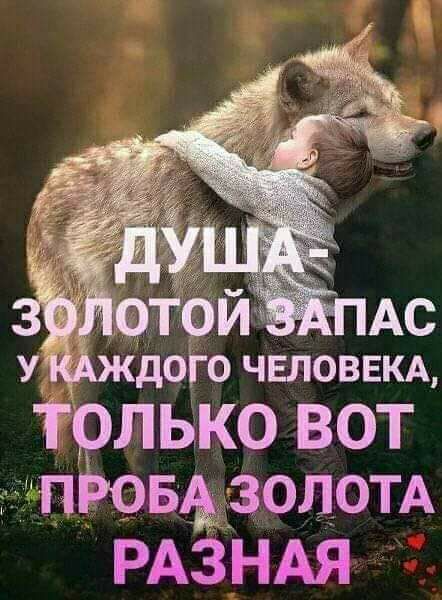 дого ЧЕЛОВЕКА т ЛЬКО ВОТ _ БфдЗОЦ0ТА РАЗНАЯ