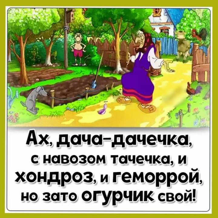 Ах дачадачечксь С НОВОЗОМ тачечка И хондроз и геморрой но зато огурчик свой