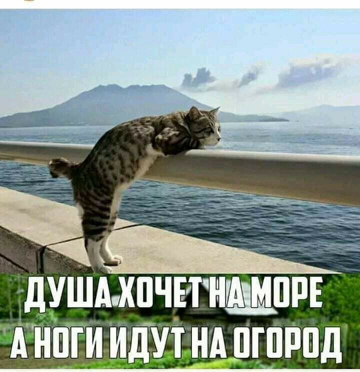 егэ __ дУШАХ1ЧНН1 дчпггиипутндпгпрпд