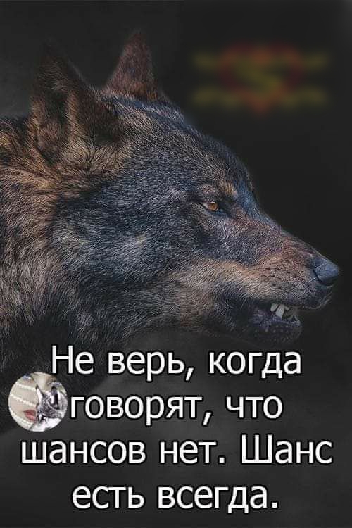 Не верь когда говорят что шансов нет Шанс ЭСТ Ь всегда