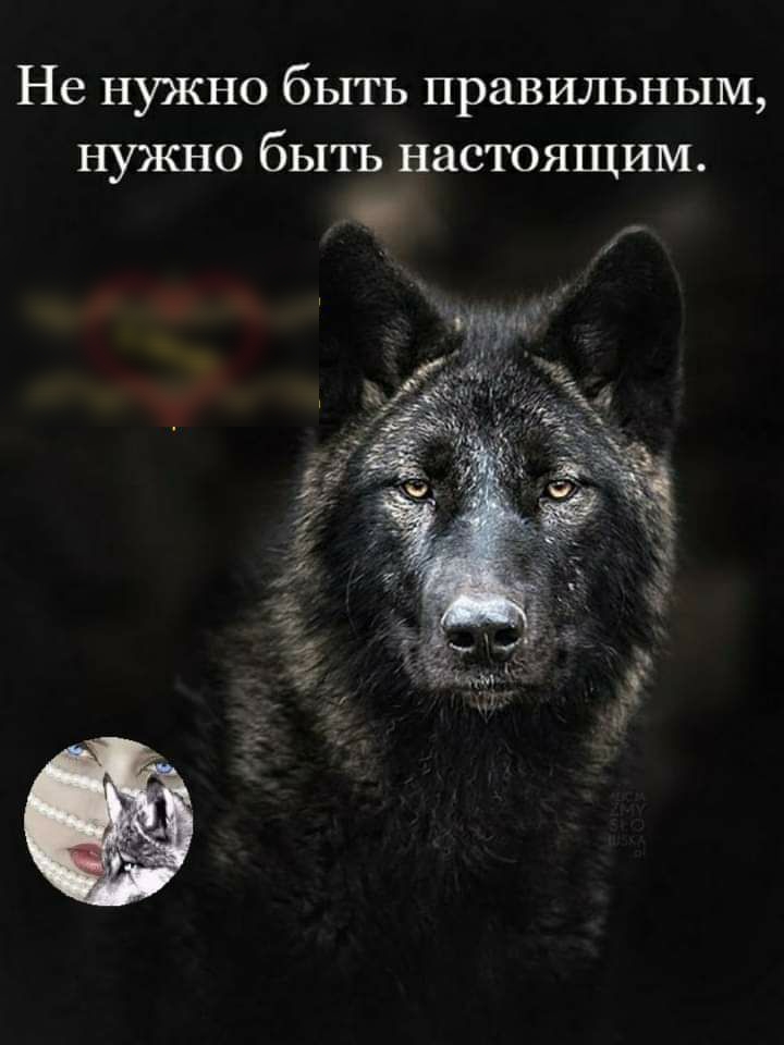 Не нужно быть правильным нужно быть настоящим