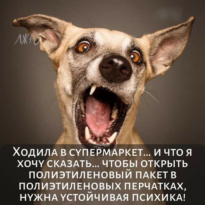 ХОЧУ СКАЗАТЬ ЧТОБ_Ы ОТКРЫТЬ ПОЛИЭТИЛЕНОВЫИ ПАКЕТ В ПОЛ ИЭТИЛ ЕЦОВЫХ П ЕРЧАТКАХ НУЖНА УСТОИЧИВАЯ ПСИХИ КА