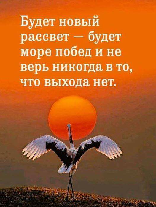 Будет новый рассвет будет море побед и не верь никогда в то что выхода нет