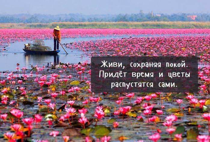 Живи сохраняя Покой Придёт время и цветы РЗШуСТЯТСЯ ЭМИ