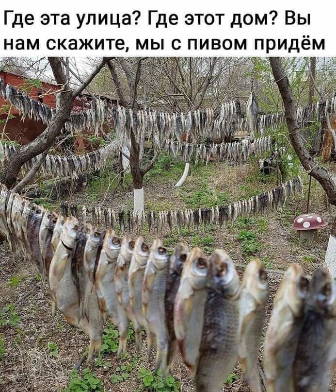 Где эта улица Где этот дом Вы м скажите мы с пивом придём