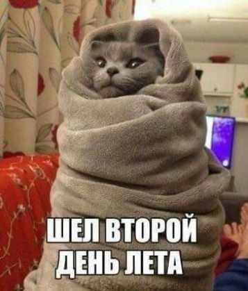 ШШ второй пнд
