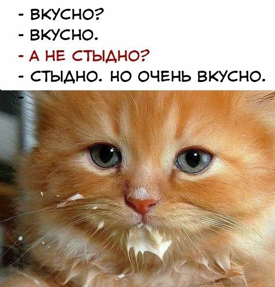 ВКУСНО ВКУСНО А НЕ СТЫАНО СТЫАНО НО ОЧЕНЬ ВКУСНО