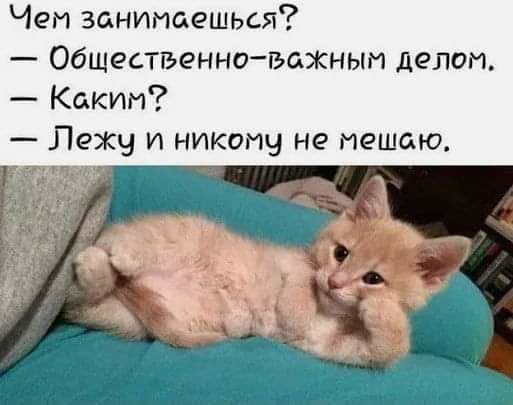 Чем занимаешься Общественнопъажнып делом Каким Лежу и никому не мешаю