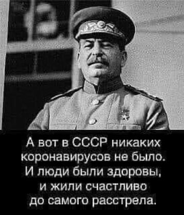 А вот в СССР никаких коронавирусов не было И люди были здоровы и жили счастливо до СЗМОГО расстрела