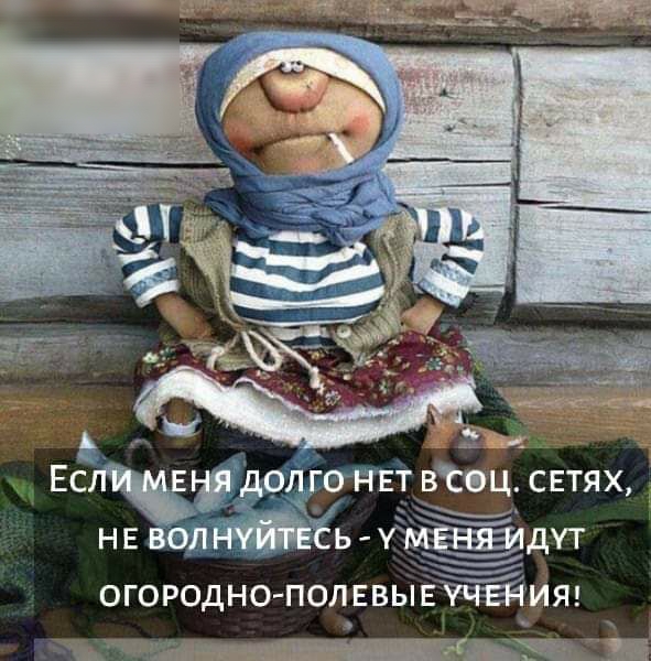 ОГОРОДНО П0ЛЕВЫЕИЯ ЬЧ _