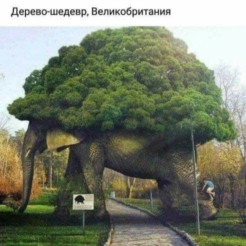 Д ревошедевр Великобритания