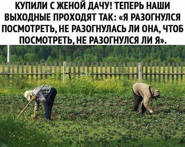 КУПИЛИ С ЖЕНОЙ дАЧУ ТЕПЕРЬ НАШИ ВЫХОДНЫЕ ПРОХОДЯТ ТАК Я РАЗОГНУЛСЯ ПОСМОТРЕТЬ НЕ РАЗОГНУЛАСЬ ЛИ ОНА ЧТОБ ПОСМОТРЕТЬ НЕ РАЗОГНУЛСЯ ЛИ Я