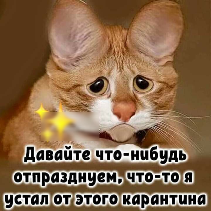 сип6