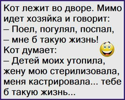 Кот лежит во дворе Мимо идет хозяйка и говорит Поеп погулял поспал мне 6 такую жизнь Кот думает Детей моих утопила жену мою стерилизовала меня кастрировапа тебе 6 такую жизнь