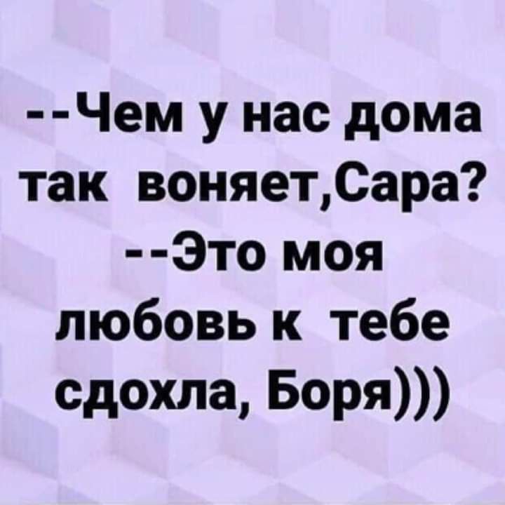 Чем у нас дома так воняетСара Это моя любовь к тебе сдохла Боря