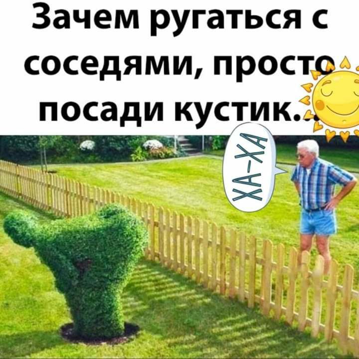 Зачем ругаться с соседями прост _ посади кусшк