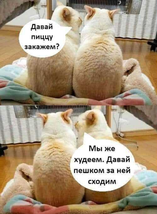 давай пиццу Ааакажем худеем Давай пешком за ней сходим