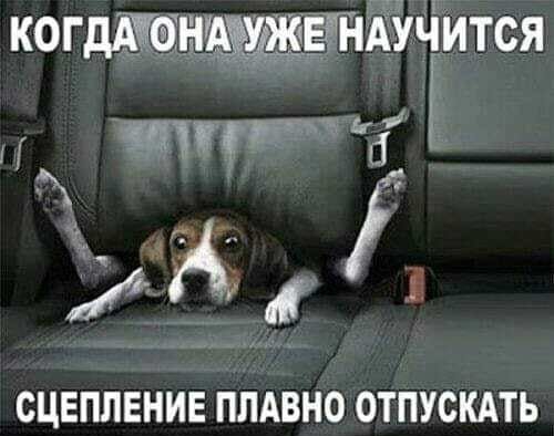 когддшншапится СЦЕПЛЕНИЕ ПЛАВНО ОТПУСКАТЬ